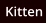 Kitten